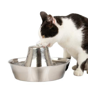 Stainless Steel Small Pet Fountain