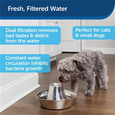 Stainless Steel Small Pet Fountain