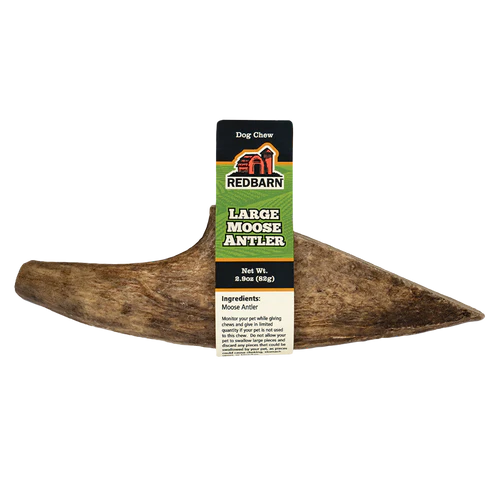 Redbarn Palm Moose Antler, Large