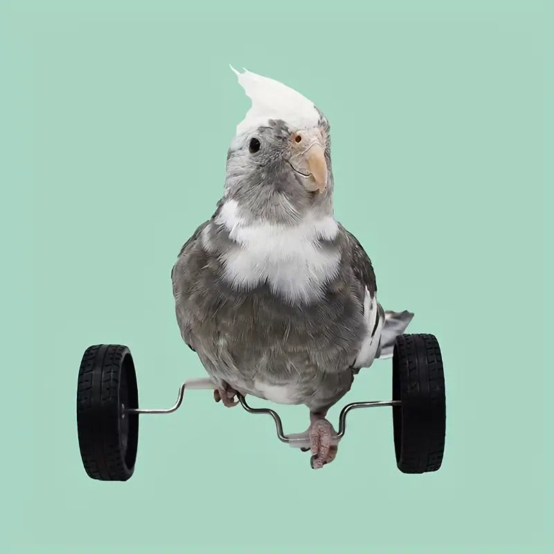 Bike Toy for Birds