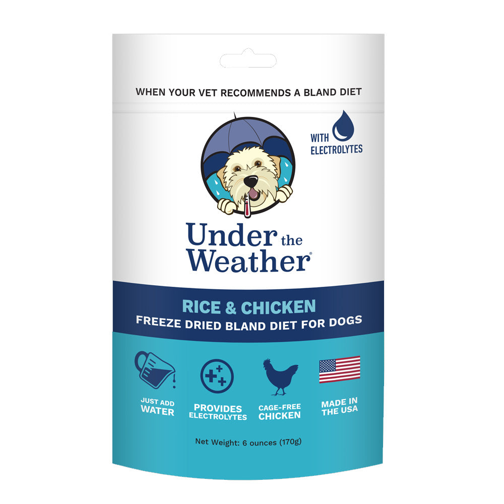 Chicken & Rice Food Topper with Electrolytes