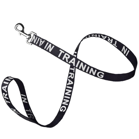 Reflective IN TRAINING Nylon Leash