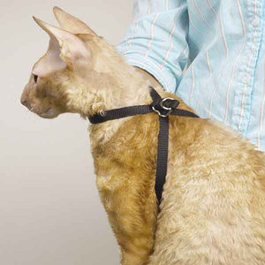 Top Performance Adjustable Nylon Cat Harness